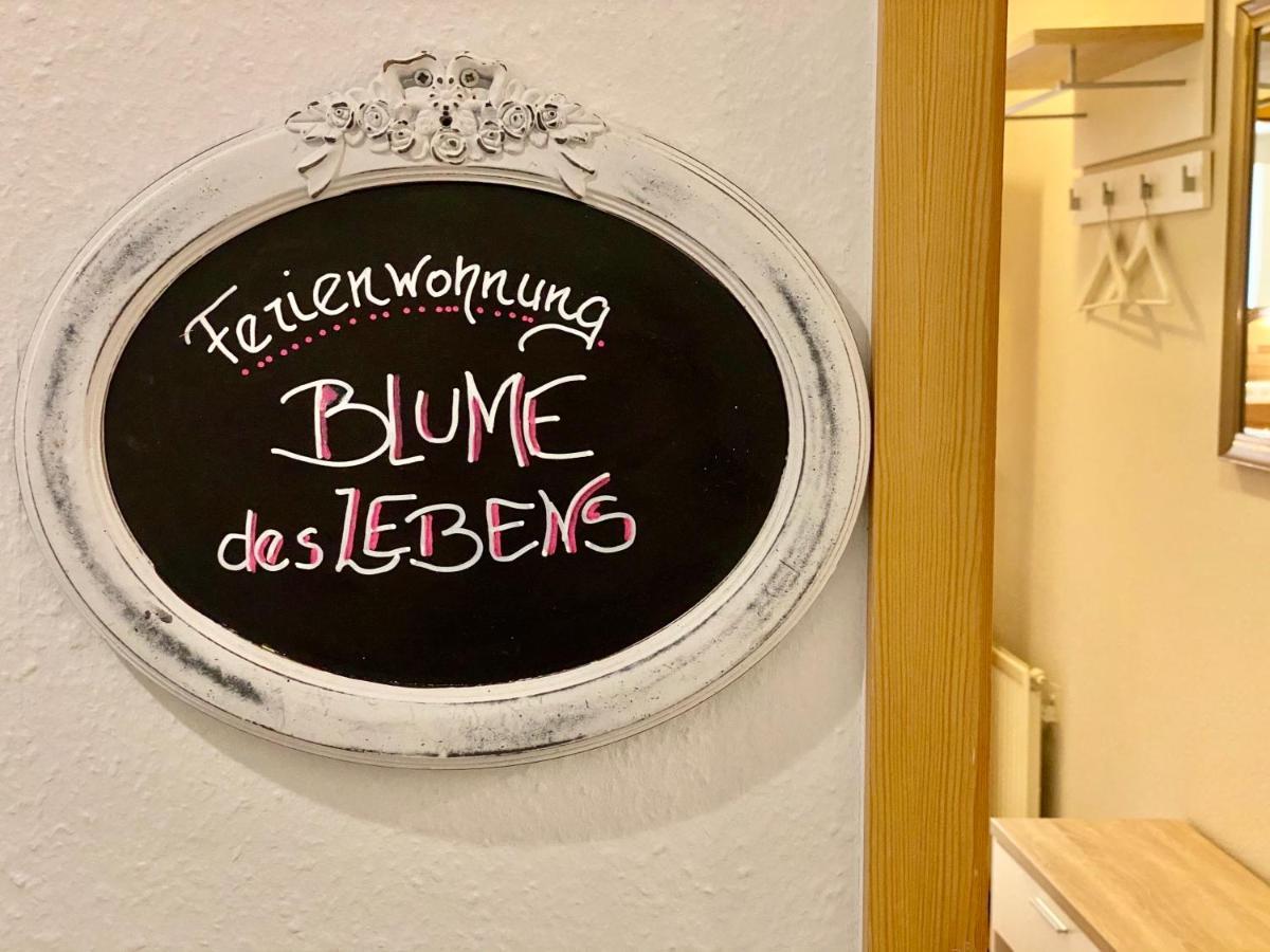 Apartamento Gesundheitshof Denker Reußenköge Exterior foto
